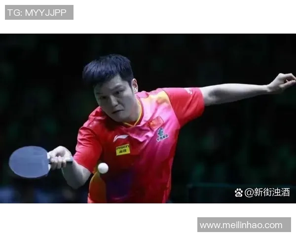 樊振东与弗朗西斯卡激战乒乓球赛场谁能笑到最后精彩对决引发关注
