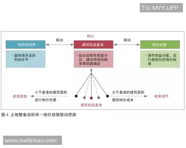 深圳飞盘队进攻体系解析与战术创新探讨